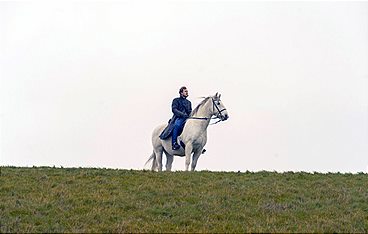 Der Schimmelreiter