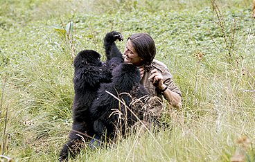 Dian Fossey: Ihr Leben für die Gorillas