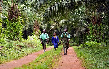 Die gefährlichsten Schulwege der Welt