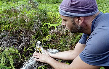 Die Insel La Réunion