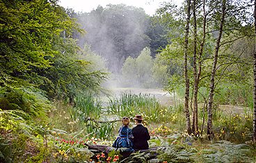 Die wundersame Welt des Louis Wain