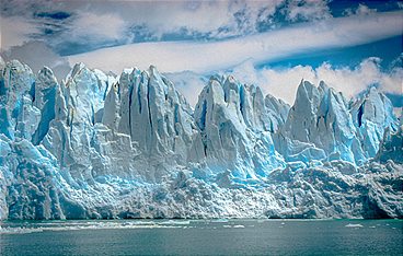 Durch das Jahr in der weltweiten Wildnis