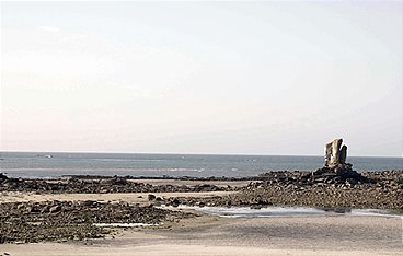 Ebbe - Ein tierisches Kammerspiel