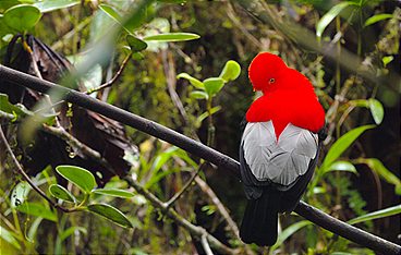 Ecuador, Hotspot der Artenvielfalt