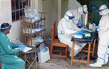 Epidemien: Der infizierte Planet