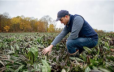 Im Bauch von Venedig