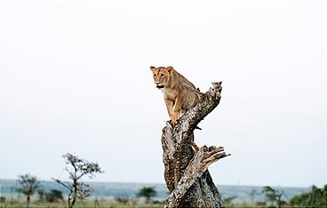 Kenia - Dem Regen hinterher