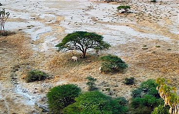 Kenia - Land der Kontraste