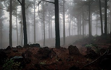 La Palma