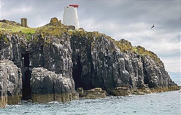 Leben an der Nordsee