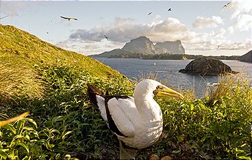 Lord Howe Island - Das gerettete Paradies