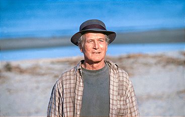 Message in a Bottle - Der Beginn einer großen Liebe