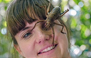 Neuseeland - Gletscher, Vulkane und Kiwis