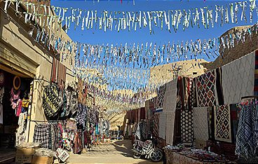 Oasen - Inseln des Lebens