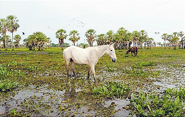Paraguays unbekannte Schätze