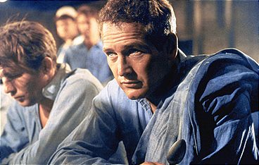 Paul Newman - Der unwiderstehliche Typ