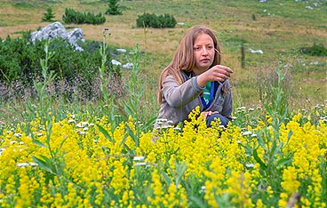 Raue Welten - Wilde Schönheiten
