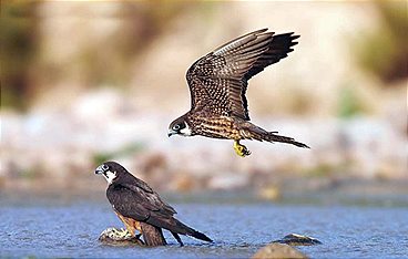 Sardinien - Arche aus Stein