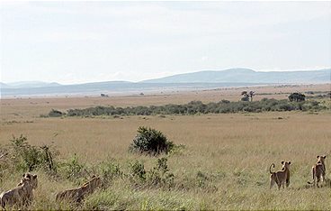 Stadt Land Kunst Spezial