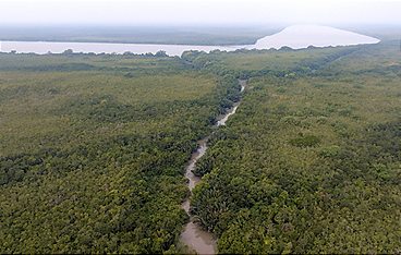 Sundarbans, im Reich der Königstiger