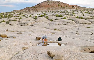 Von Gestein zu Gestein