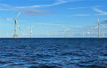 Windparks im Meer - Chance oder Risiko für die Natur?