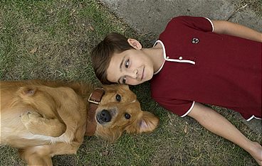 Bailey - Ein Freund fürs Leben