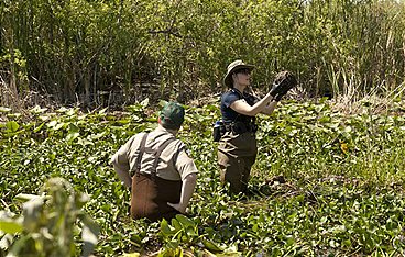Bones - Die Knochenjägerin