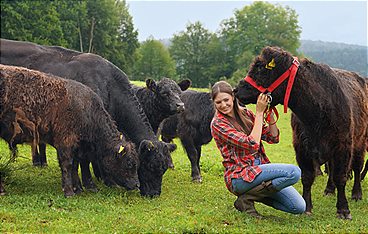Lust aufs Land - Bayerische Hofgeschichten