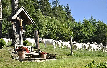 Österreichs Bergdörfer