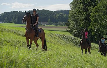 Österreichs Bergdörfer