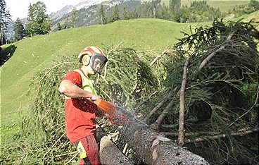 Österreichs Bergdörfer