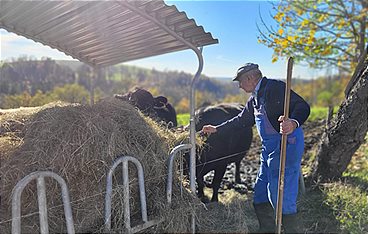Unter unserem Himmel