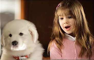 Santa Pfotes großes Weihnachtsabenteuer