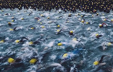 Triathlon: T100 Triathlon World Tour in Singapur