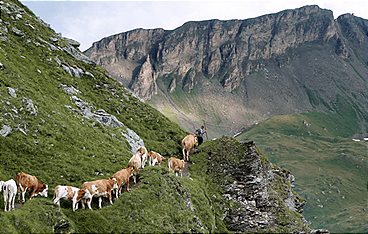 Alpenland