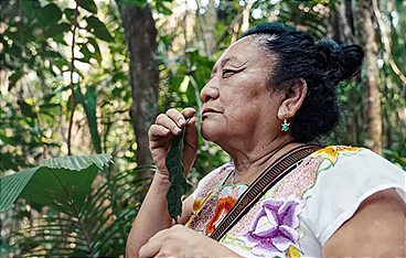 Belize - Wir sind Maya