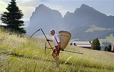 Die Dolomiten - Sommer in den italienischen Alpen