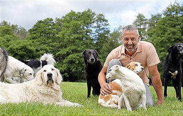 Hunde in der Pubertät - So lernen sie gutes Benehmen
