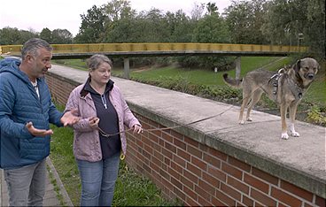 Hunde spüren den Stress der Halter