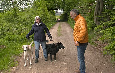 Hundebegegnungen ohne Bellen und Zerren