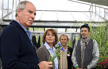 Just Married - Hochzeiten 2