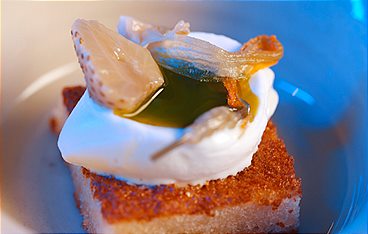 Spitzenküche - Alles für den Stern