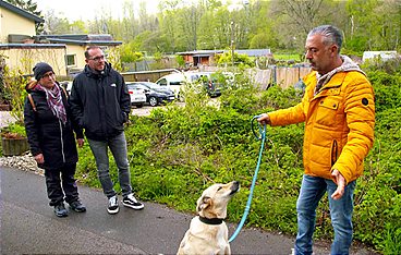 Unruhe an der Leine nach Hundeangriff