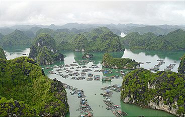 Wildes Vietnam