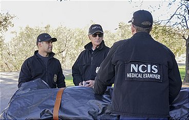 Navy CIS