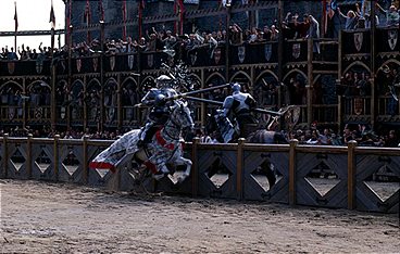 Ritter aus Leidenschaft