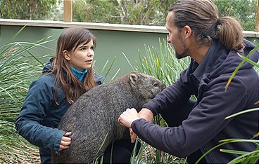 Anna und die wilden Tiere