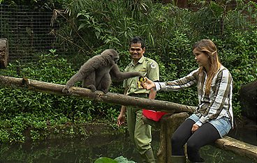 Anna und die wilden Tiere