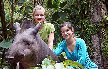 Anna und die wilden Tiere